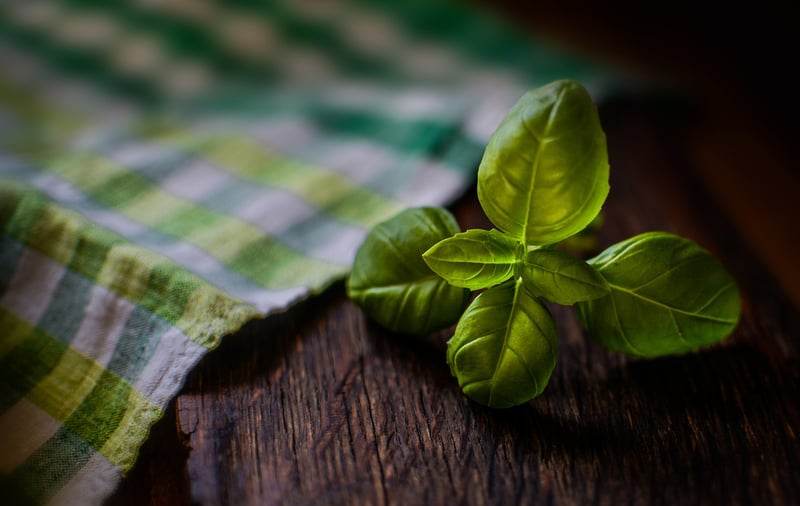 Herbs and Ingredients